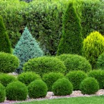 nawoz-do-iglakow-wiosna-lato-hydro-max-green-oro (5).jpg