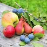 Green-Oro-nawoz-Oro-Fruits-do-owocow (20).jpg