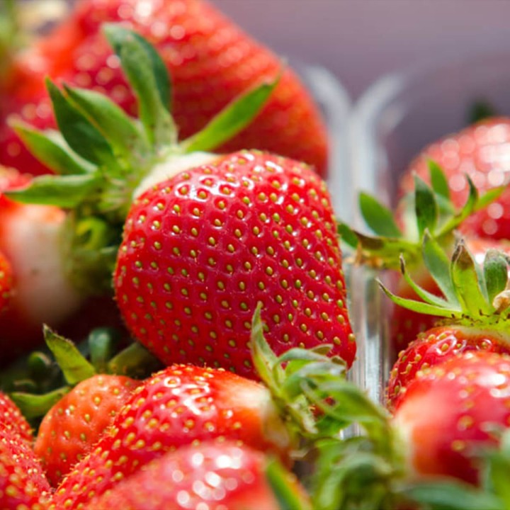 Green-Oro-nawoz-Oro-Fruits-do-owocow (22).jpg