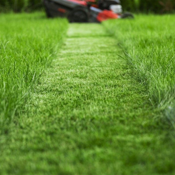 Green-Oro-Nawoz-ORO-START-startowy-calosezonowy-do-zakładania-trawnika  (13).jpg