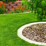 Green-Oro-nawoz-azotowy-N34,5-saletra-amonowa-ogrodowa-do wszystkich-roslin- (8).jpg