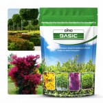 Nawoz-ORO-BASIC-do-Laurowisni-Bukszpanow-Catalpy-zywopłotow-1 (1).jpg