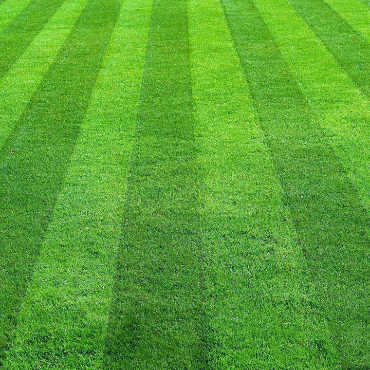 Oro-complex-nawoz-do-traw-i-traw-ozdobnych-wiosna-lato-anty-mech (1).jpg