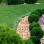 Oro-complex-nawoz-do-traw-i-traw-ozdobnych-wiosna-lato-anty-mech (6).jpg