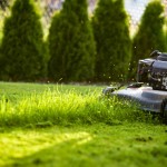 Oro-complex-nawoz-do-traw-i-traw-ozdobnych-wiosna-lato-anty-mech (8).jpg