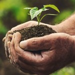 HUMUS-nawoz-organiczny-uzyzniacz-glebowy-całoroczny-płynny-koncentrat-1 — kopia.jpg