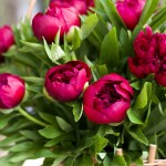 Oro-Flowers-1200x1200-v4.jpg