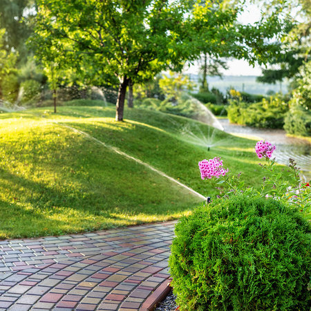 Nawóz startowy do trawnika z siewu i rolki ORO START od Green-Oro