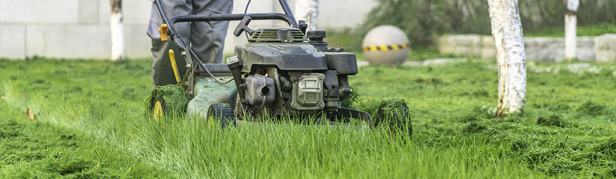 Nawóz startowy do trawnika z siewu i rolki GREEN-ORO ORO START