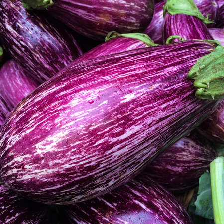 Nawóz do pomidorów papryki ogórków GREEN ORO TOMATO POWER — zdrowe plony przez cały sezon