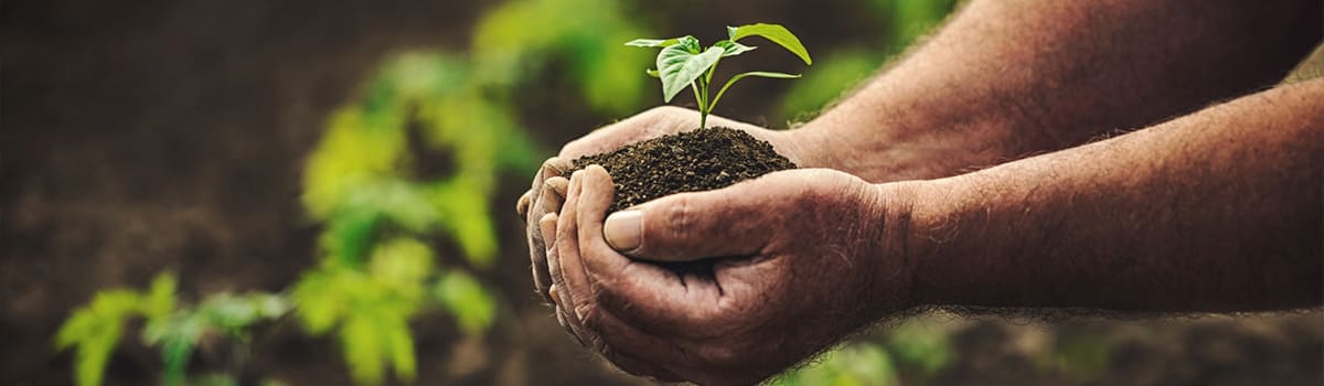 Użyźniacz glebowy HUMUS ORO ACTIV od GREEN-ORO – koncentrat kwasów humusowych do ogrodu