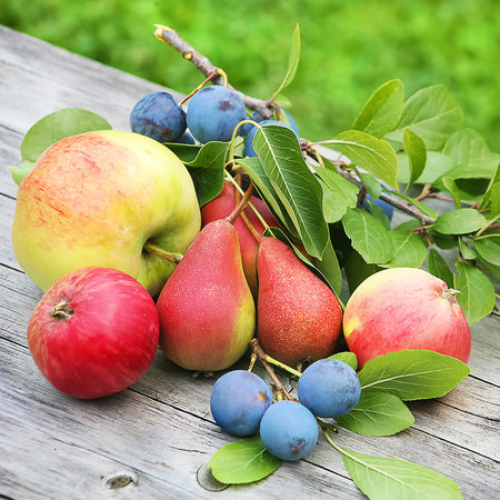 Nawóz ORO FRUITS wieloskładnikowy do warzyw i owoców