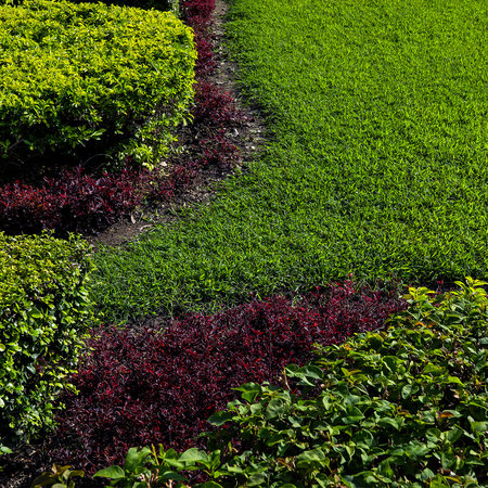 N 34,5 saletra amonowa ogrodowa – efekt zieleni i wzrostu w sezonie wiosna–lato (III–IX)