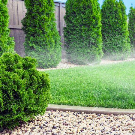 N 34,5 saletra amonowa ogrodowa – efekt zieleni i wzrostu w sezonie wiosna–lato (III–IX)