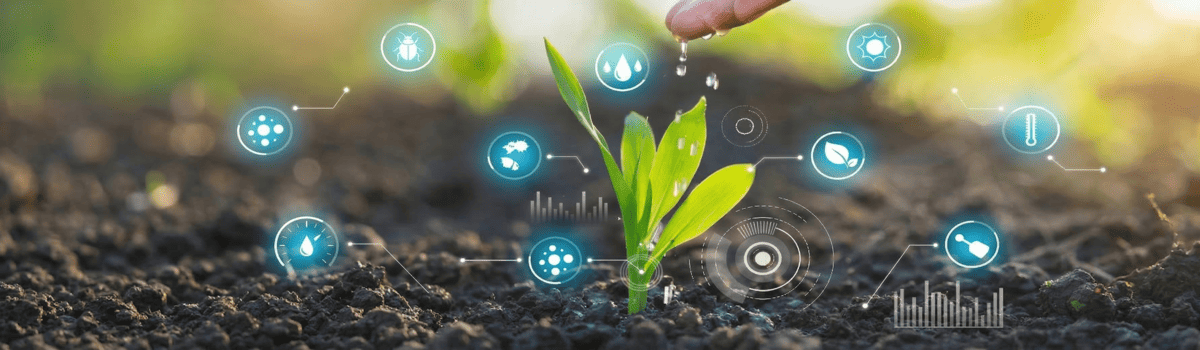 Moc składu i formuły HUMUS ORO ACTIV – kwasy humusowe dla ogrodu