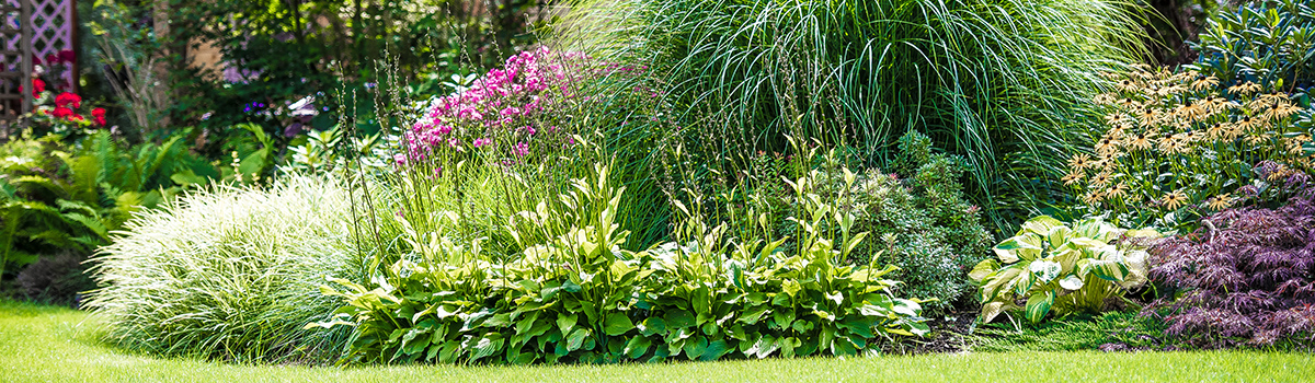 ORO COMPLEX nawóz do trawnika wiosenno-letni GREEN-ORO granulowany wieloskładnikowy