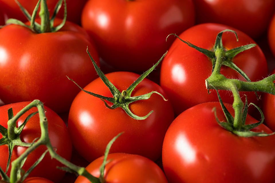 Nawoz-pomidory-papryka-szlkarnia-green_oro-8